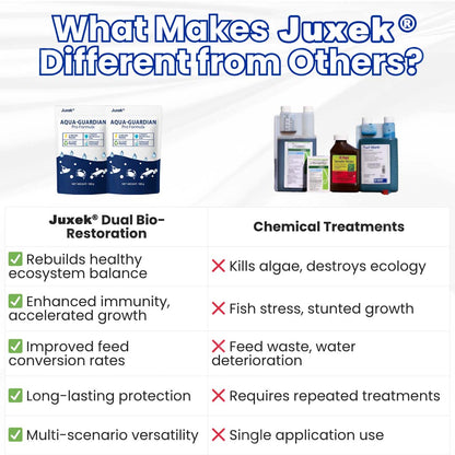 ✨ From Green to Clean Overnight! |⏱️ Crystal Clear in 24 Hours! | Juxek® Aqua-Guardian Pro Formula