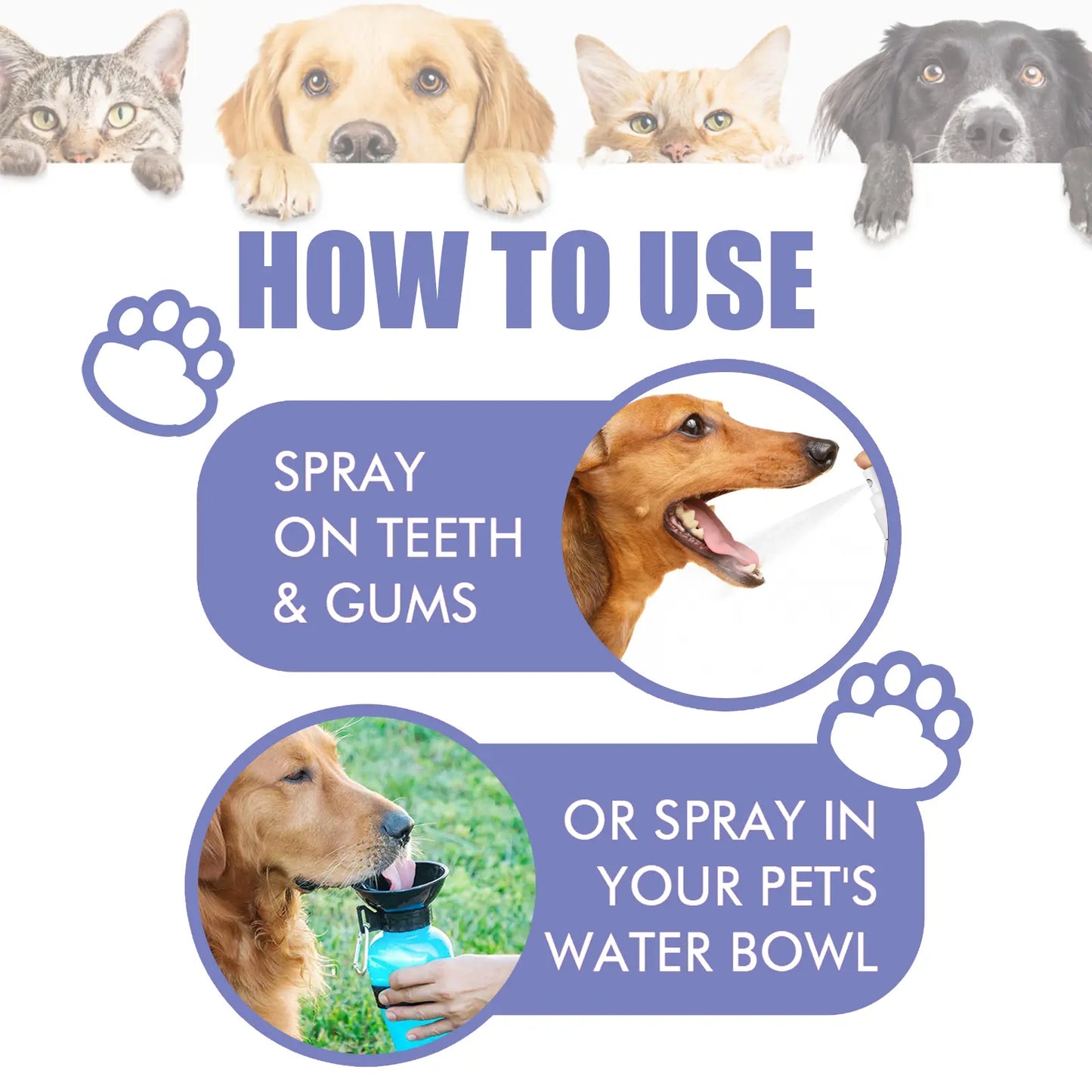 BBOJI™ 🍃No-Brushing Oral Care Spray for Dogs & Cats