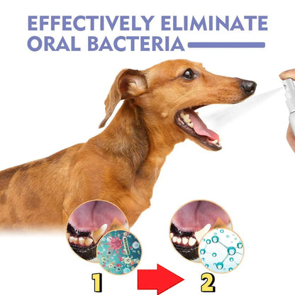 BBOJI™ 🍃No-Brushing Oral Care Spray for Dogs & Cats