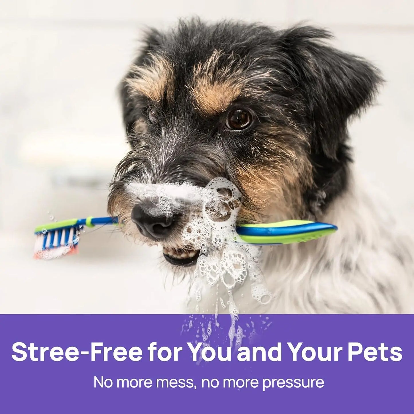 BBOJI™ 🍃No-Brushing Oral Care Spray for Dogs & Cats