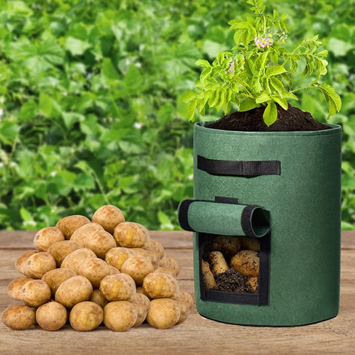 Cloth crop planting bags with harvesting windows